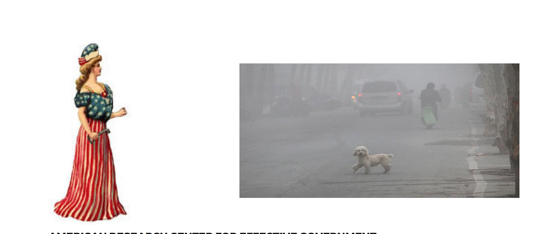 img-alternative-text